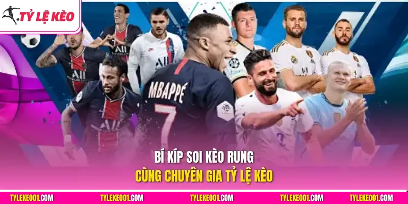Bí kíp soi kèo rung cùng chuyên gia Tỷ Lệ Kèo