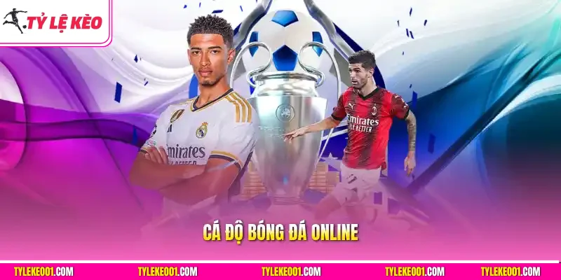 Cá Độ Bóng Đá Online