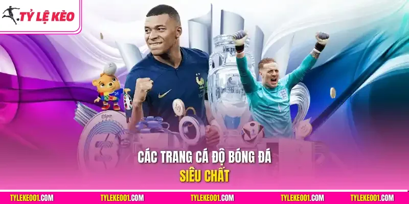Các web cá độ bóng đá siêu chất