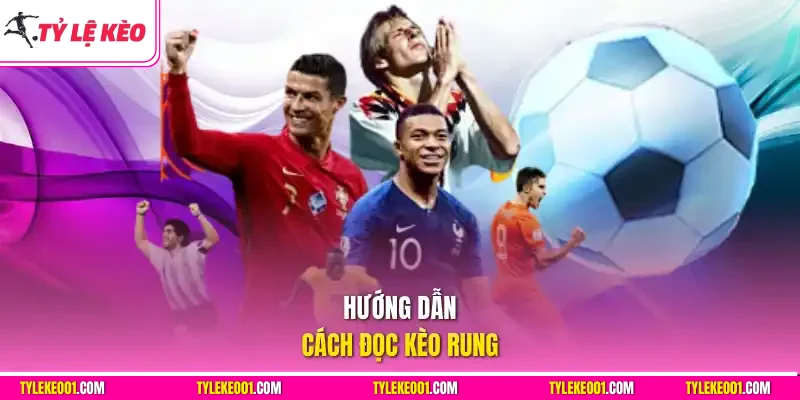 Hướng dẫn cách đọc kèo rung