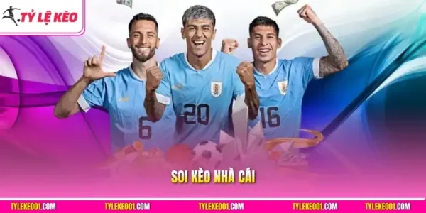 Soi Kèo Nhà Cái