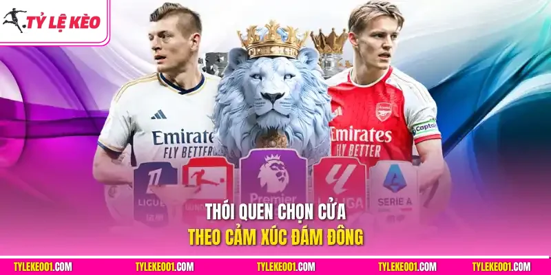 Thói quen soi kèo bóng đá theo cảm xúc đám đông