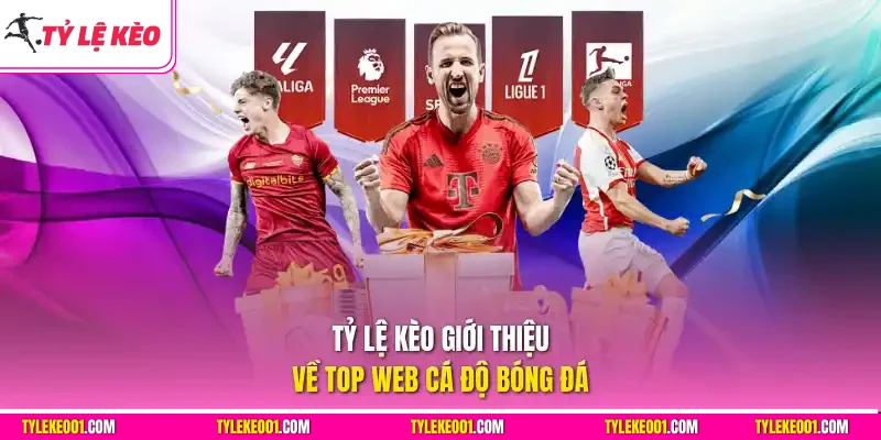 Tỷ Lệ Kèo giới thiệu về top web cá độ bóng đá